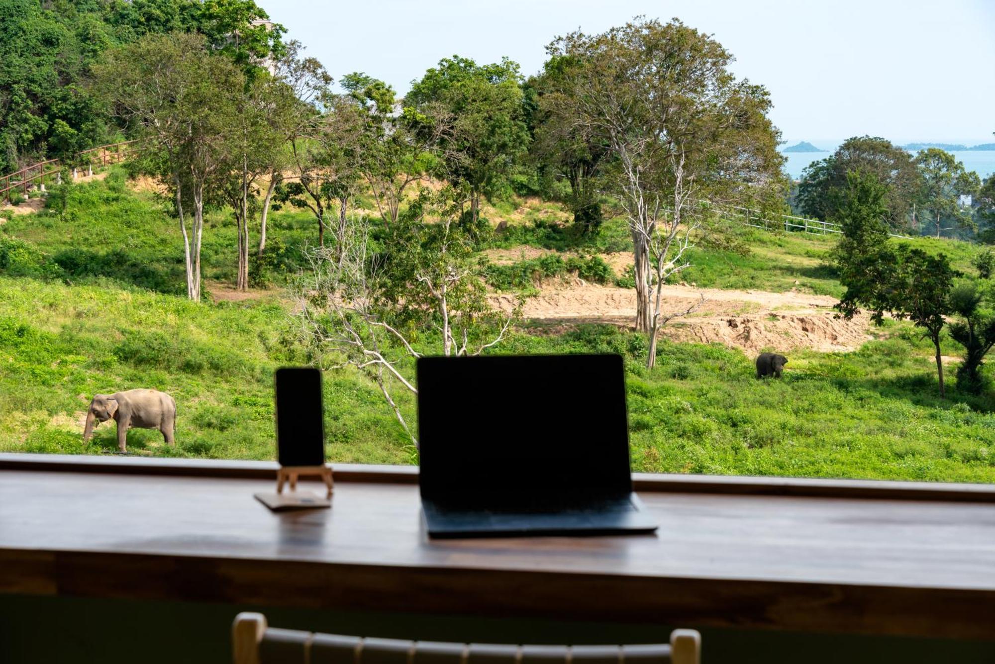 Wild Cottages Elephant Sanctuary Resort Amphoe Koksamui Exterior foto