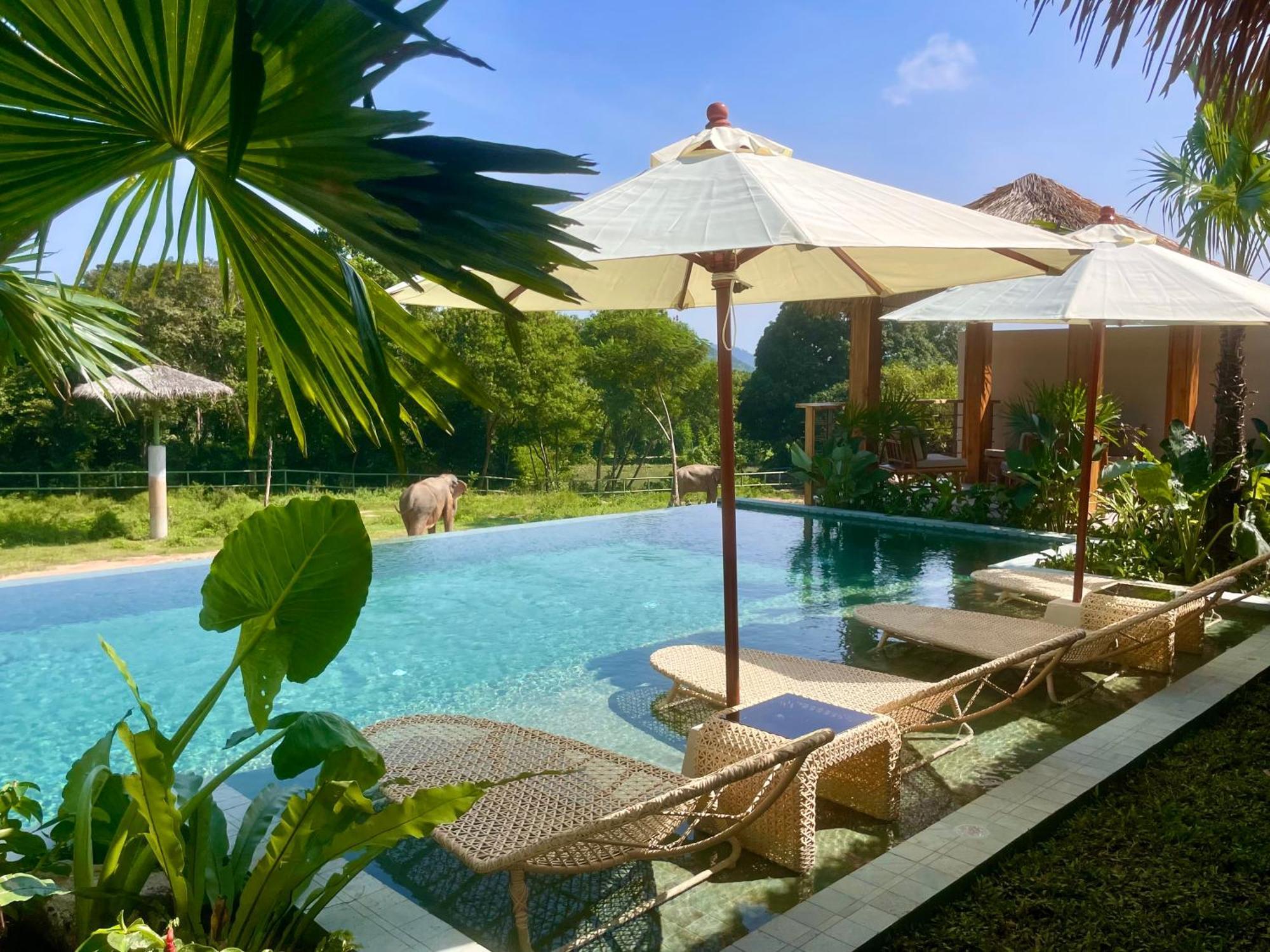 Wild Cottages Elephant Sanctuary Resort Amphoe Koksamui Exterior foto